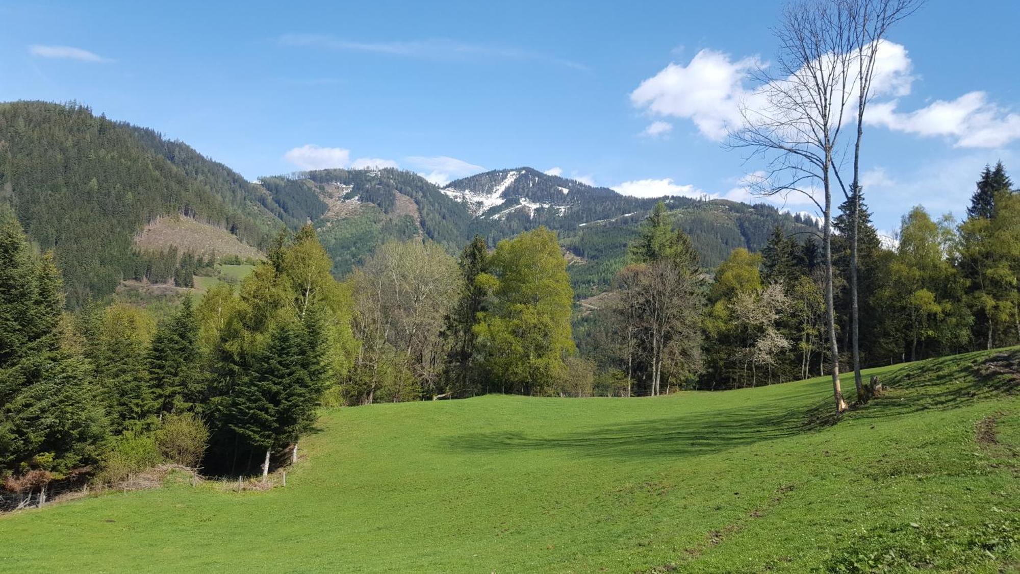 Villa Kloiberhof à Oblarn Extérieur photo
