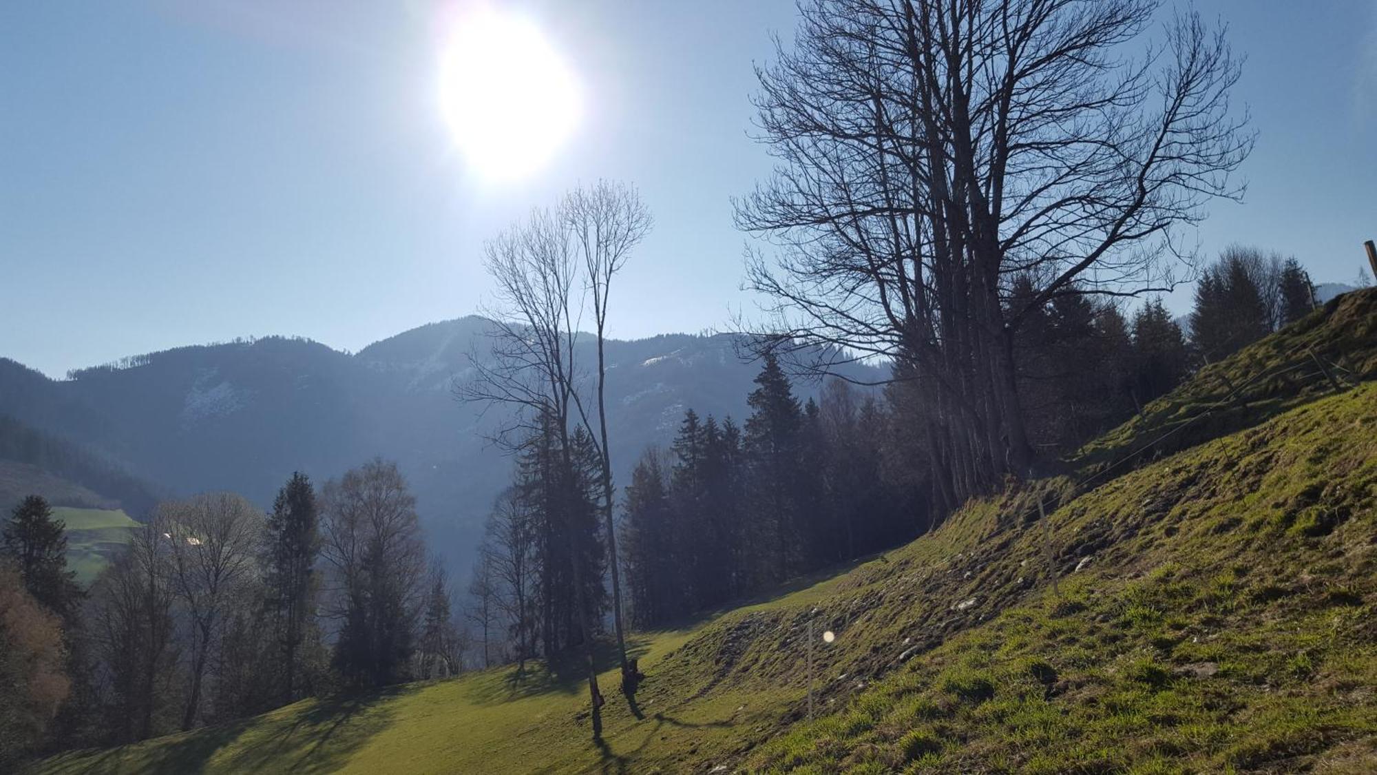 Villa Kloiberhof à Oblarn Extérieur photo